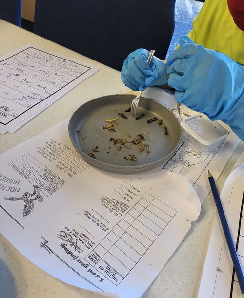 Child conducting a science experiment.